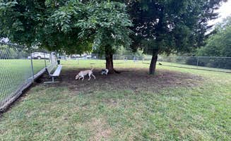 Maggie C.'s photo of camping with pets at Great Escape RV Park & Campground in Missouri