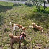 Review photo of Great Horned Owl Campground — Deer Creek State Park by Seren W., April 26, 2026