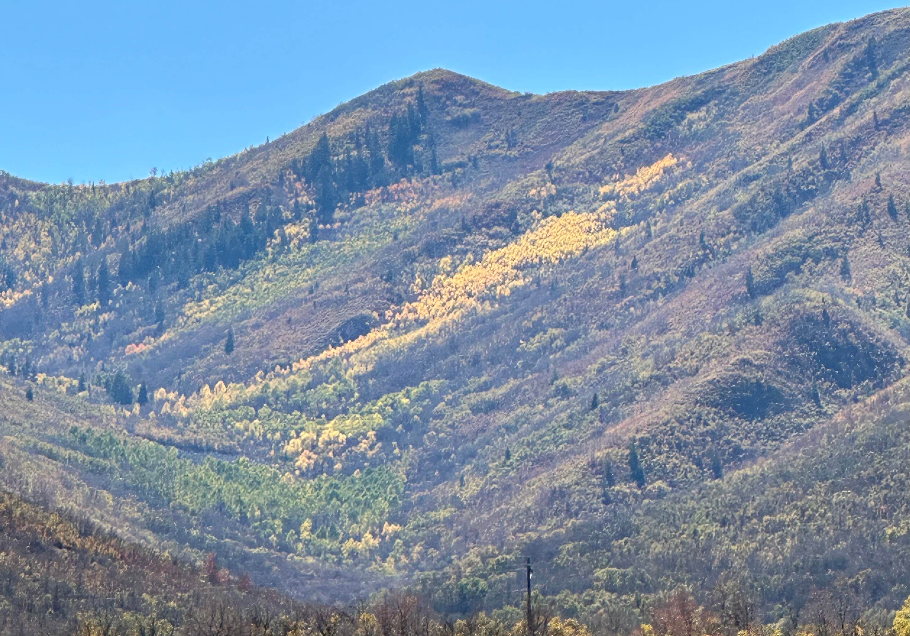 Camper-submitted photo at Great Horned Owl Campground — Deer Creek State Park near Heber, UT
