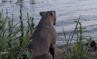 Pam H.'s photo of camping with pets at Great Plains State Park Dispersed Campsite near Mountain Park, OK