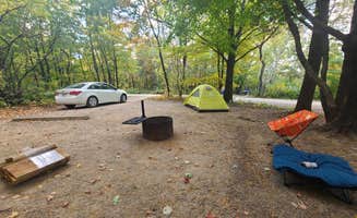 Tori K.'s photo at Great River Bluffs State Park Campground near Houston, MN