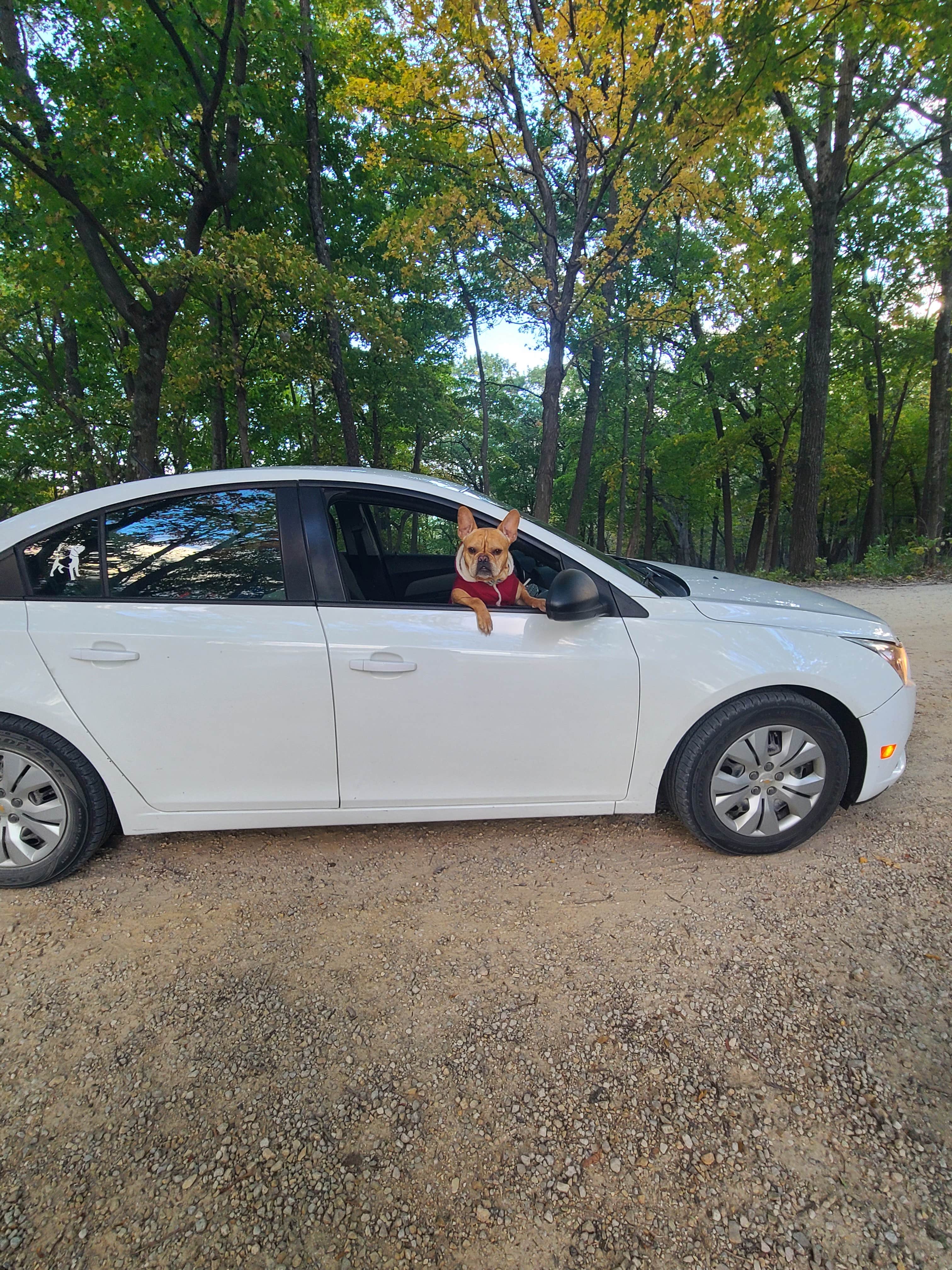 Tori K.'s photo of camping with pets at Great River Bluffs State Park Campground near Kellogg, MN