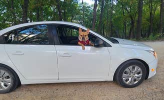 Tori K.'s photo of camping with pets at Great River Bluffs State Park Campground near Viroqua, WI
