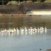 Review photo of Salt Plains State Park Campground by Lisa M., August 13, 2025