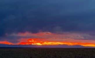 Laela H.'s photo of a dispersed camping area at Great Sand Dunes Dispersed near La Jara, CO