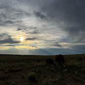 Review photo of Great Sand Dunes Dispersed by Laela H., June 14, 2025