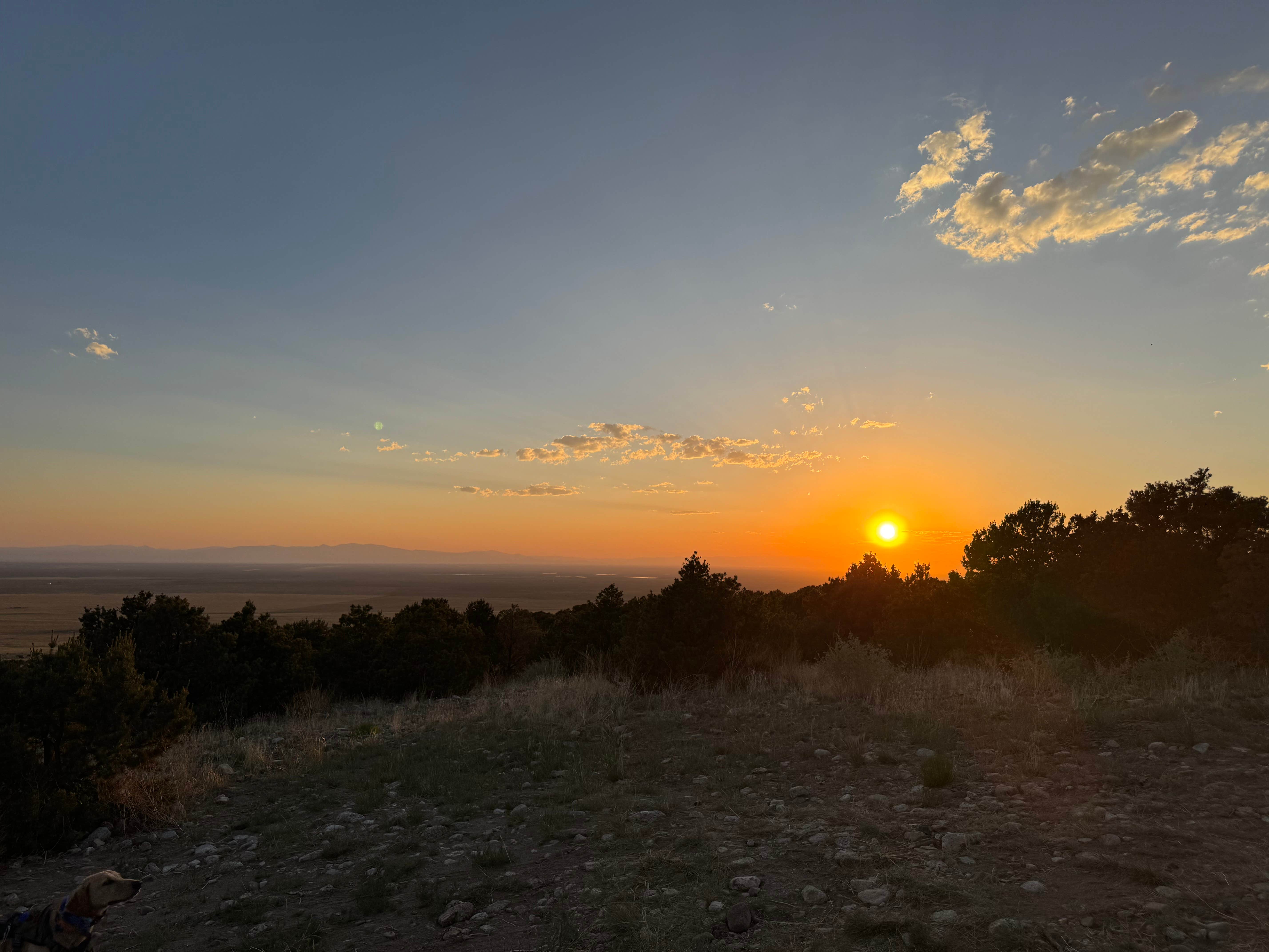 Aly E.'s photo of camping with pets at Great Sand Dunes Dispersed near San Luis, CO