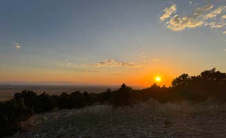Aly E.'s photo of camping with pets at Great Sand Dunes Dispersed near Great Sand Dunes National Park And Preserve
