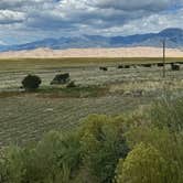 Review photo of Great Sand Dunes Oasis by Shana D., August 31, 2024