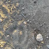 Review photo of Great Western Trail Dispersed by Henry W., August 7, 2025