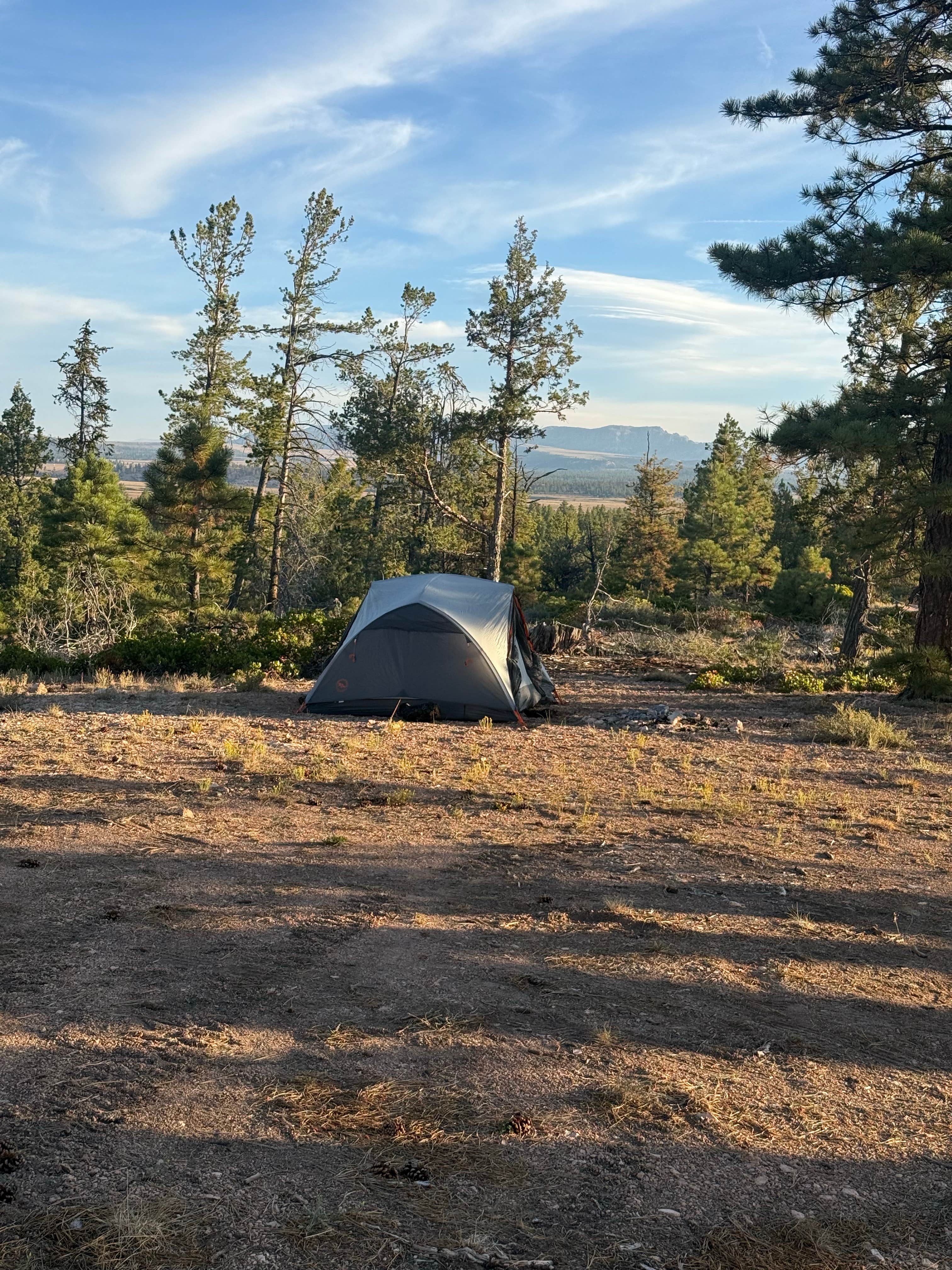 Henry W.'s photo of tent camping at Great Western Trail Dispersed near Brian Head, UT