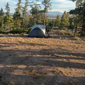 Review photo of Great Western Trail Dispersed by Henry W., August 7, 2025