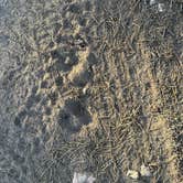Review photo of Great Western Trail Dispersed by Henry W., August 7, 2025