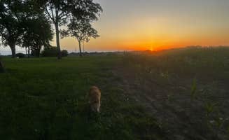 russell's photo of camping with pets at Green Acres at Red Brick Farmhouse near Raymore, MO