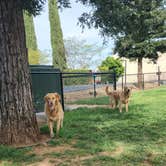 Review photo of Green Acres RV Park by Heidi J., May 2, 2026