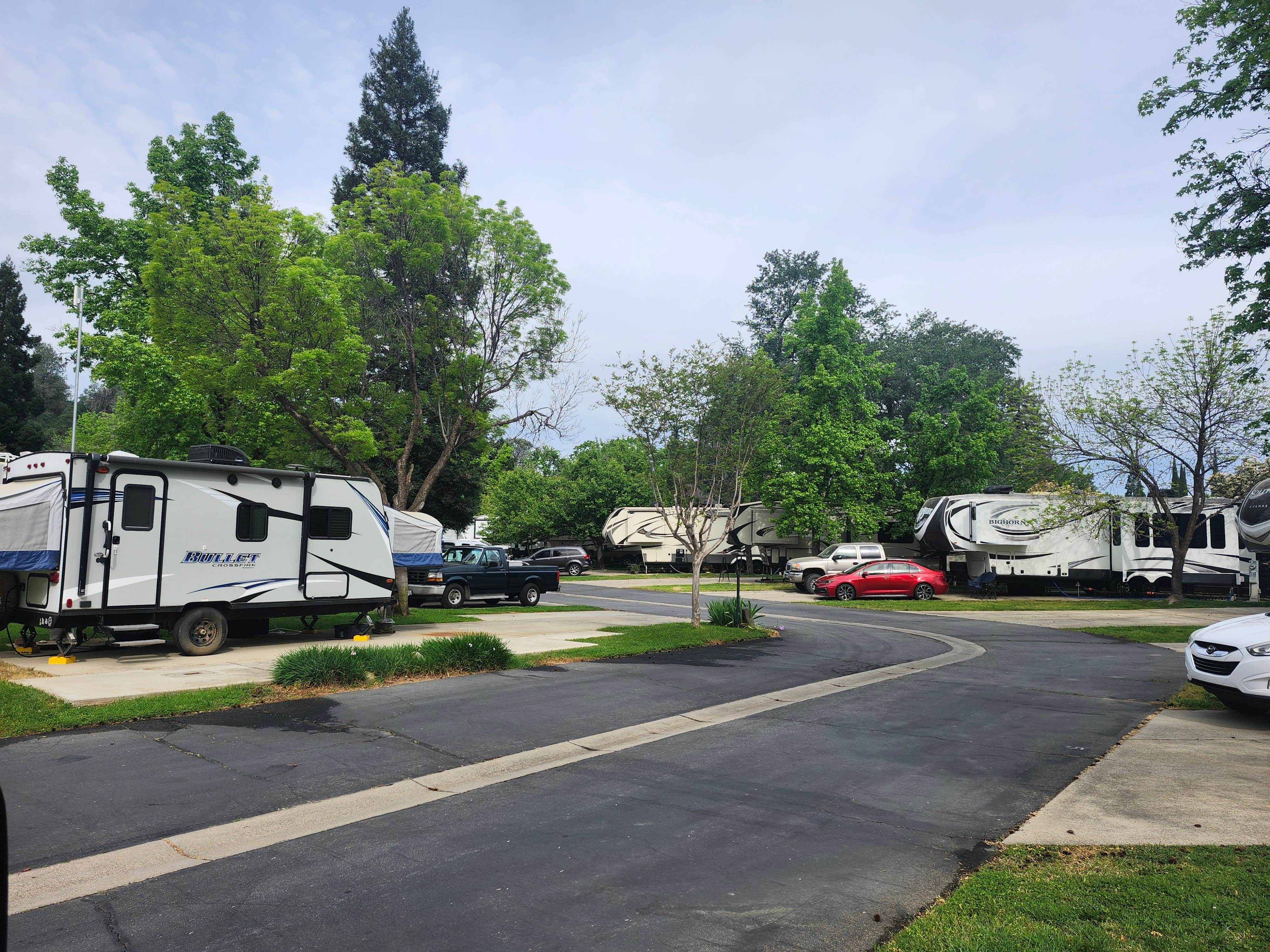 Camper-submitted photo at Green Acres RV Park near Redding, CA