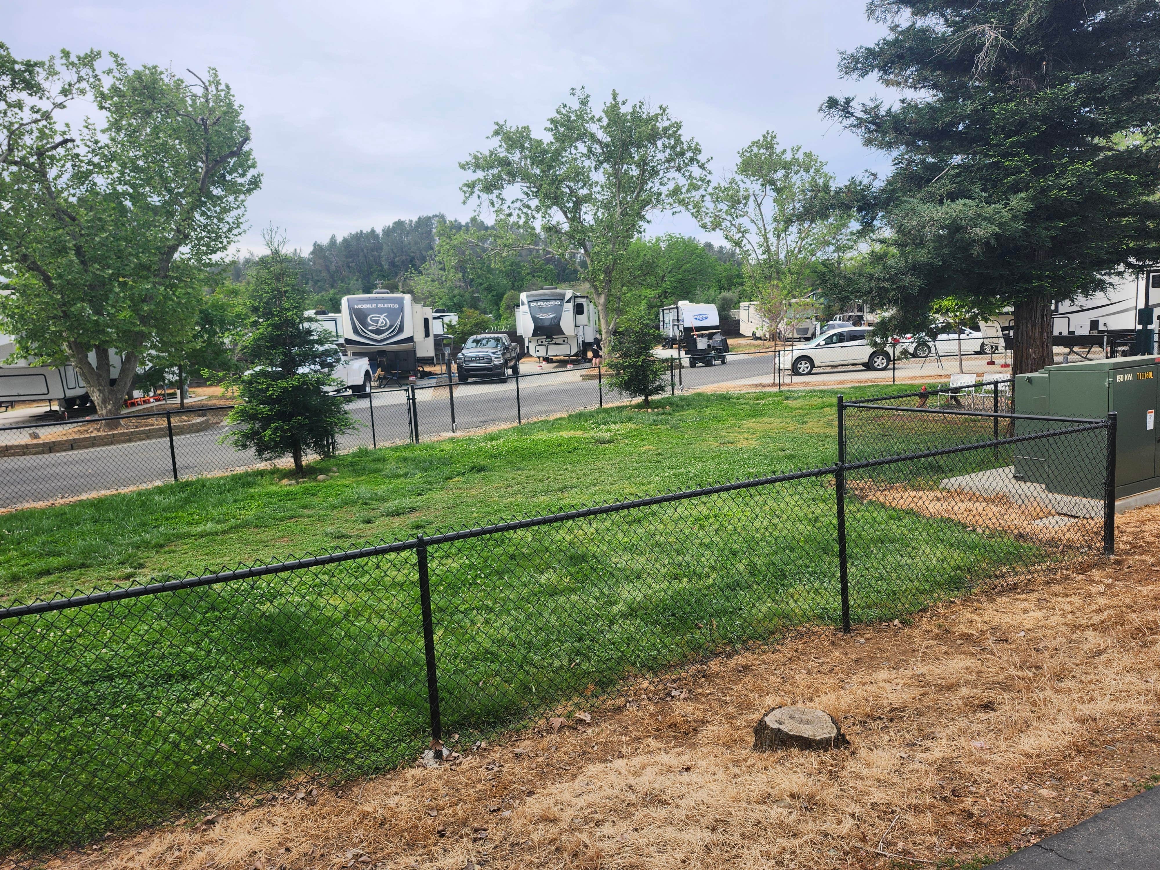 Camper-submitted photo at Green Acres RV Park near Redding, CA