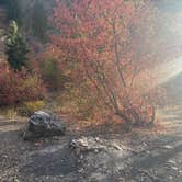 Review photo of Green Canyon Dispersed Campground by Nicole R., October 10, 2026