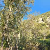 Review photo of Green Canyon Dispersed Campground by Van UT G., September 13, 2024