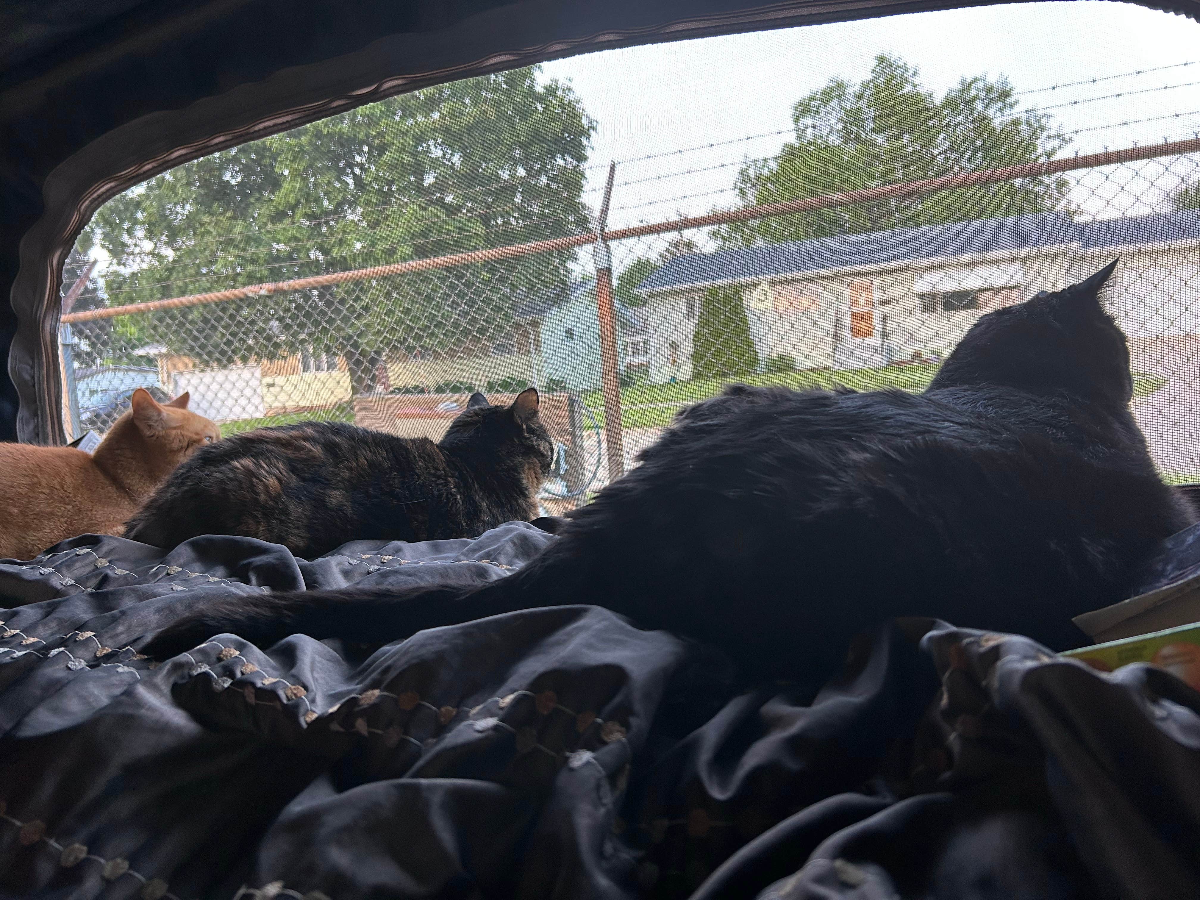 Camping near Blackhawk Memorial Park: Green County Fairgrounds, Orangeville, Wisconsin