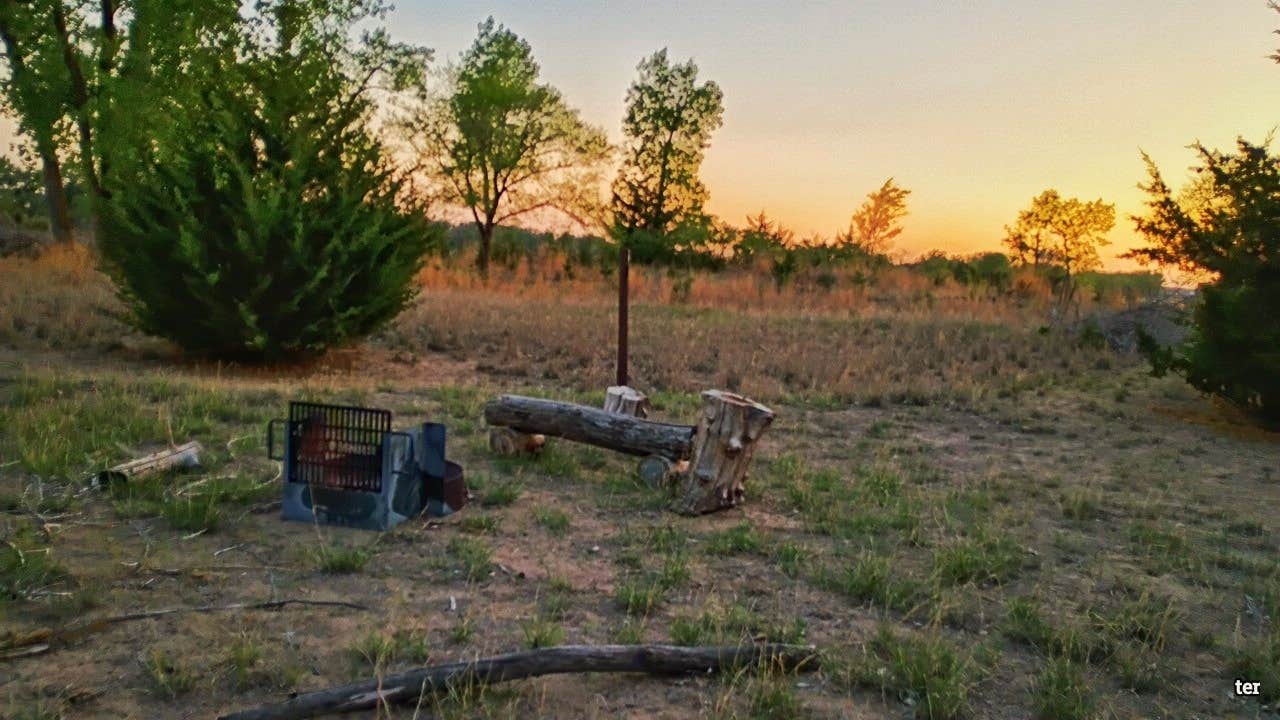 Camper submitted image from Green Island Primitive Camping - 1