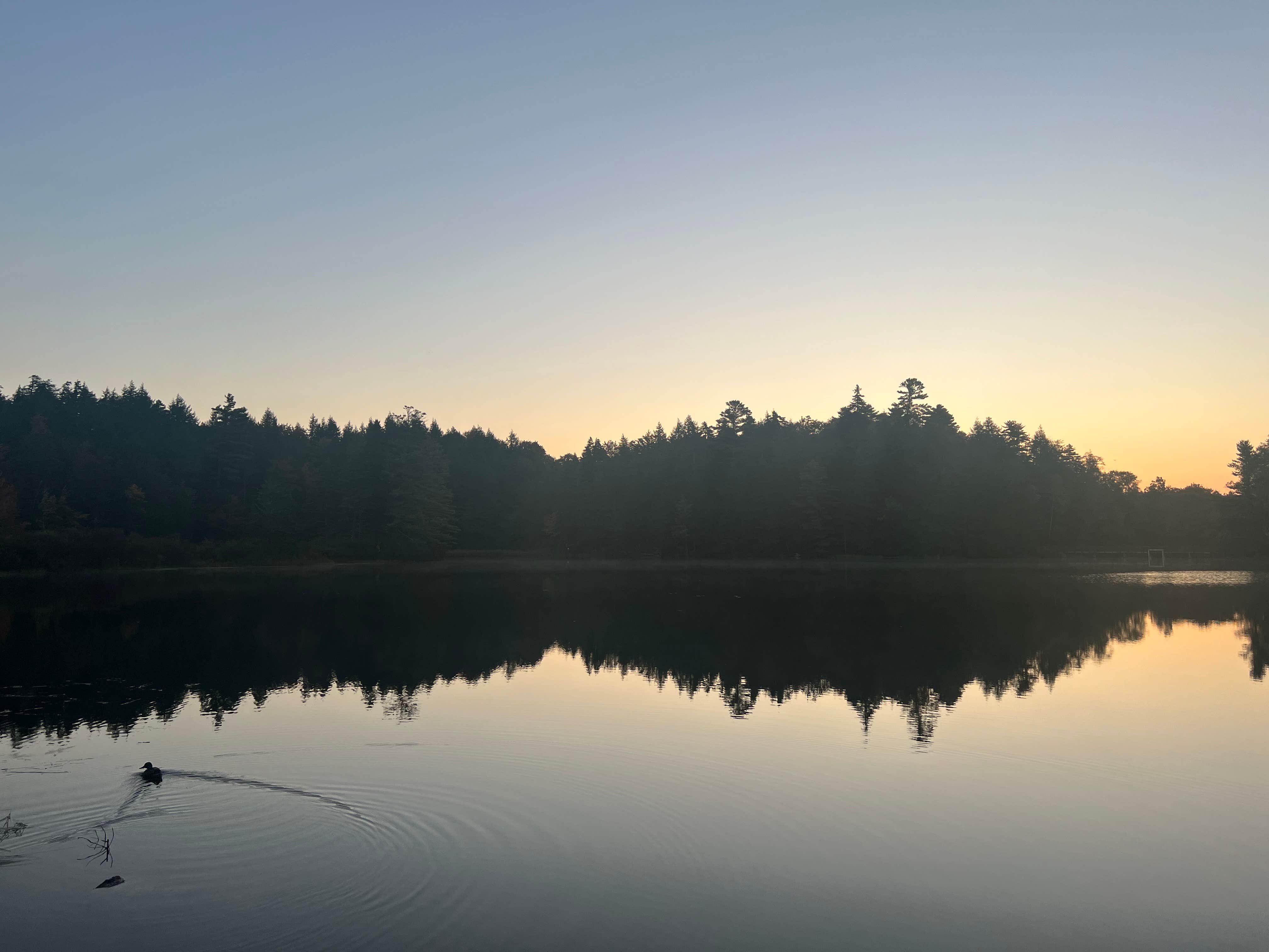 Camper submitted image from Hapgood Pond NF Campground - 4
