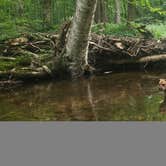 Review photo of Hapgood Pond NF Campground by Sue B., April 11, 2026