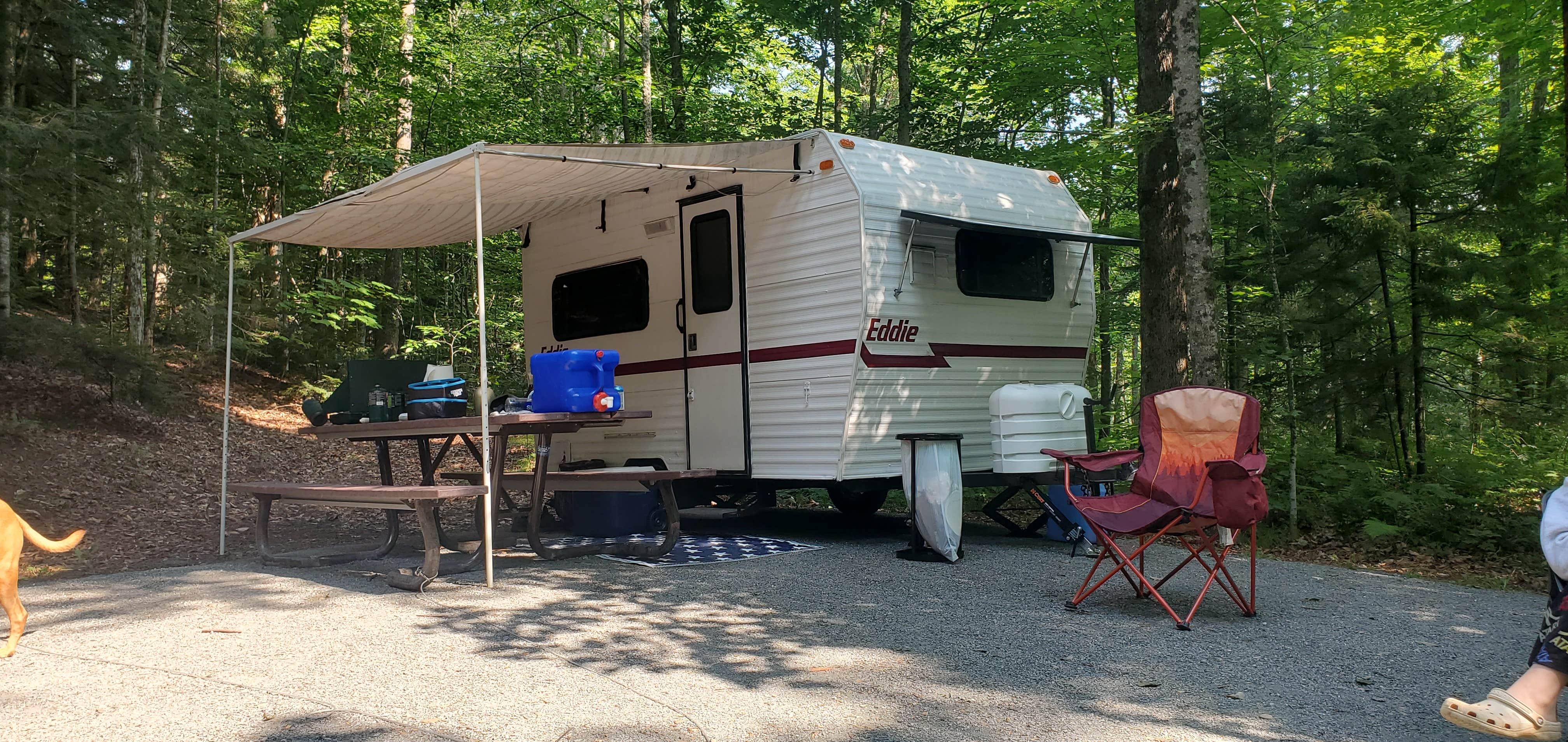Sue B.'s photo of camping with pets at Hapgood Pond NF Campground near Bellows Falls, VT