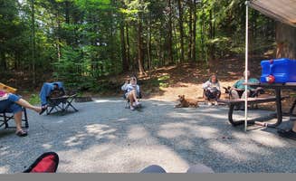 Sue B.'s photo at Hapgood Pond NF Campground near South Londonderry, VT