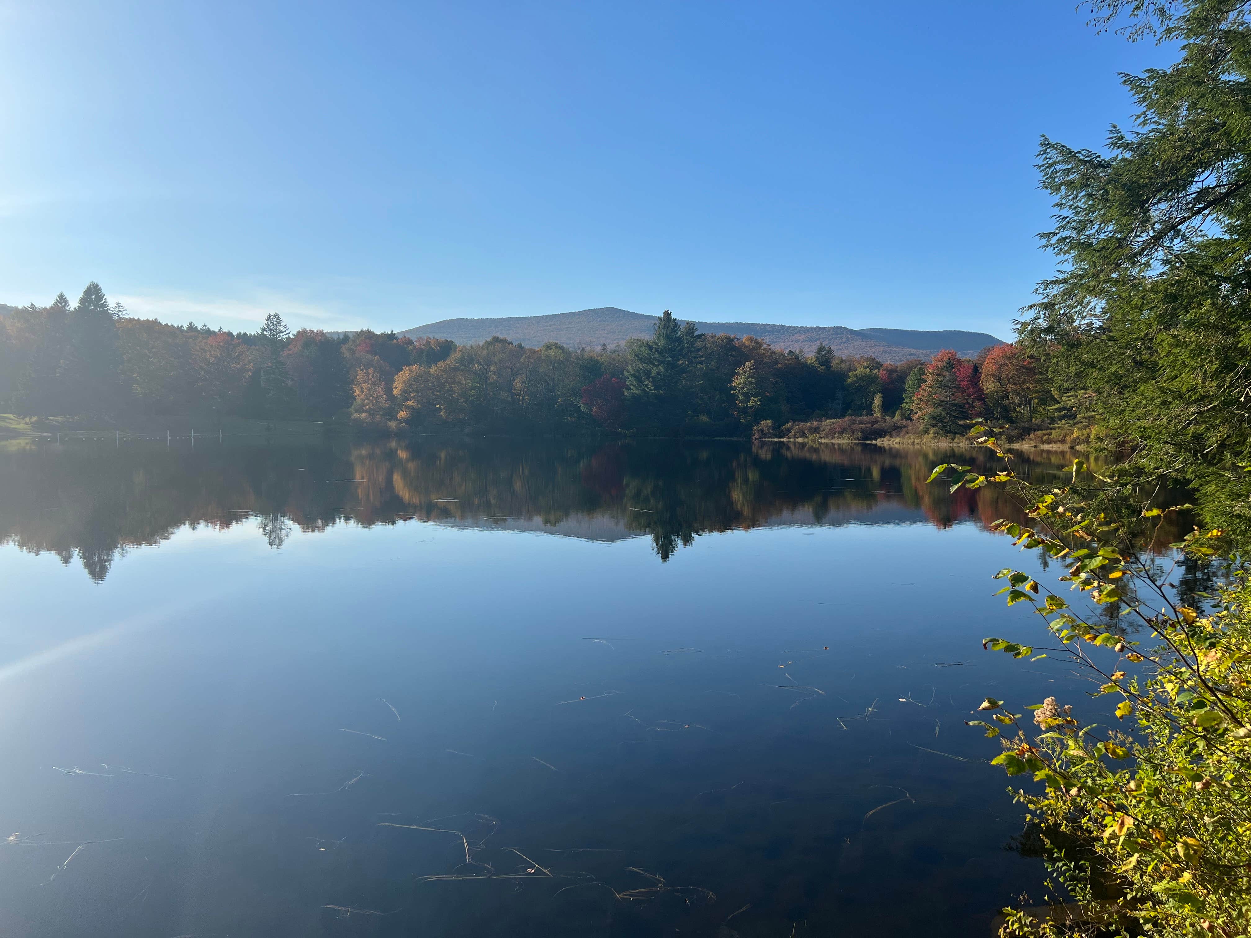 Camper submitted image from Hapgood Pond NF Campground - 3