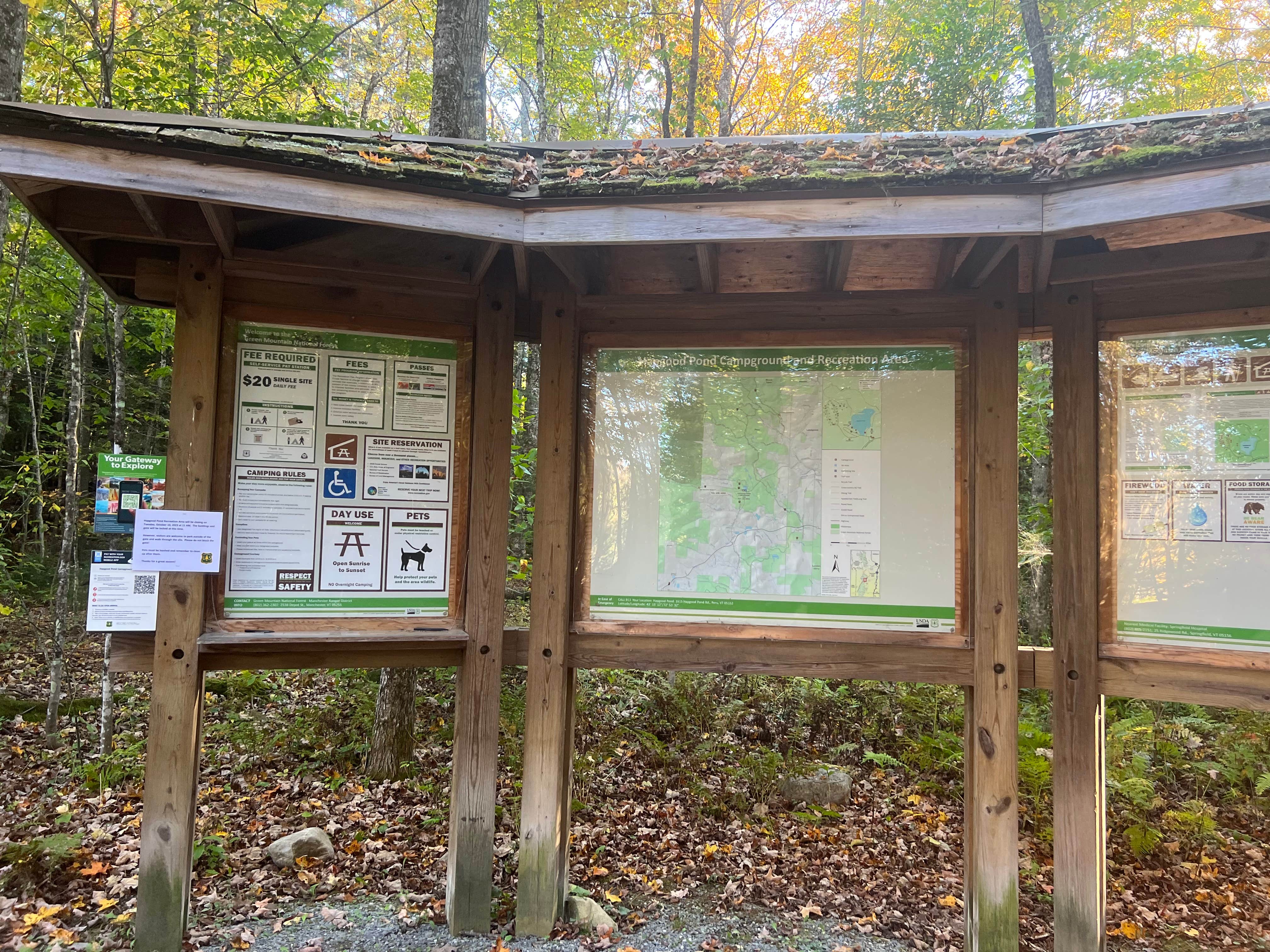 Camper-submitted photo at Hapgood Pond NF Campground near Weston, VT