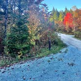 Review photo of Hapgood Pond NF Campground by Zach P., October 10, 2023