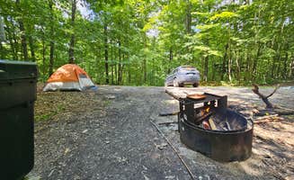Amandalynn P.'s photo at Green Pond - Bonaparte State Forest near Gouverneur, NY