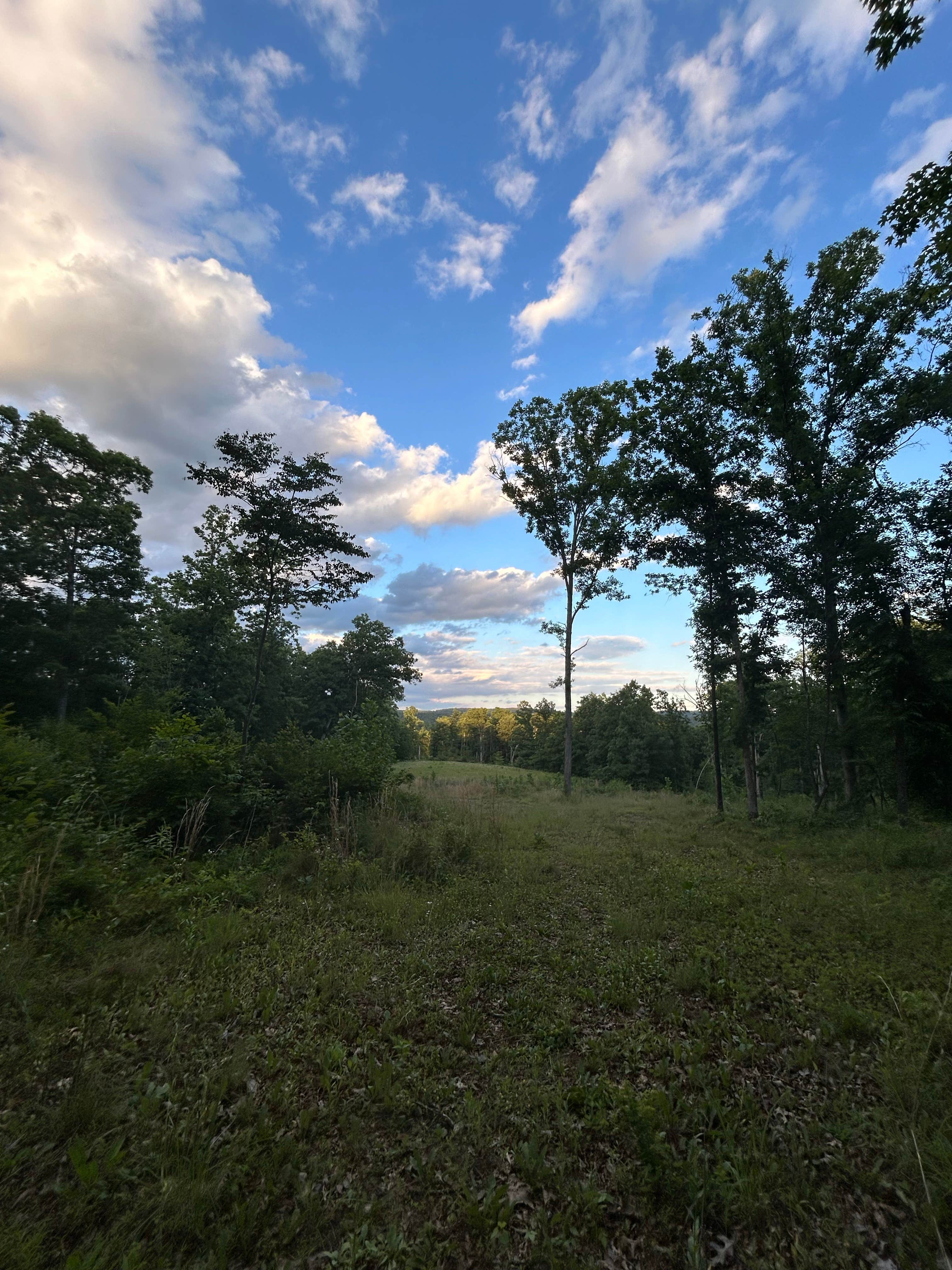 Camper-submitted photo at green ridge state forest near Frostburg, MD