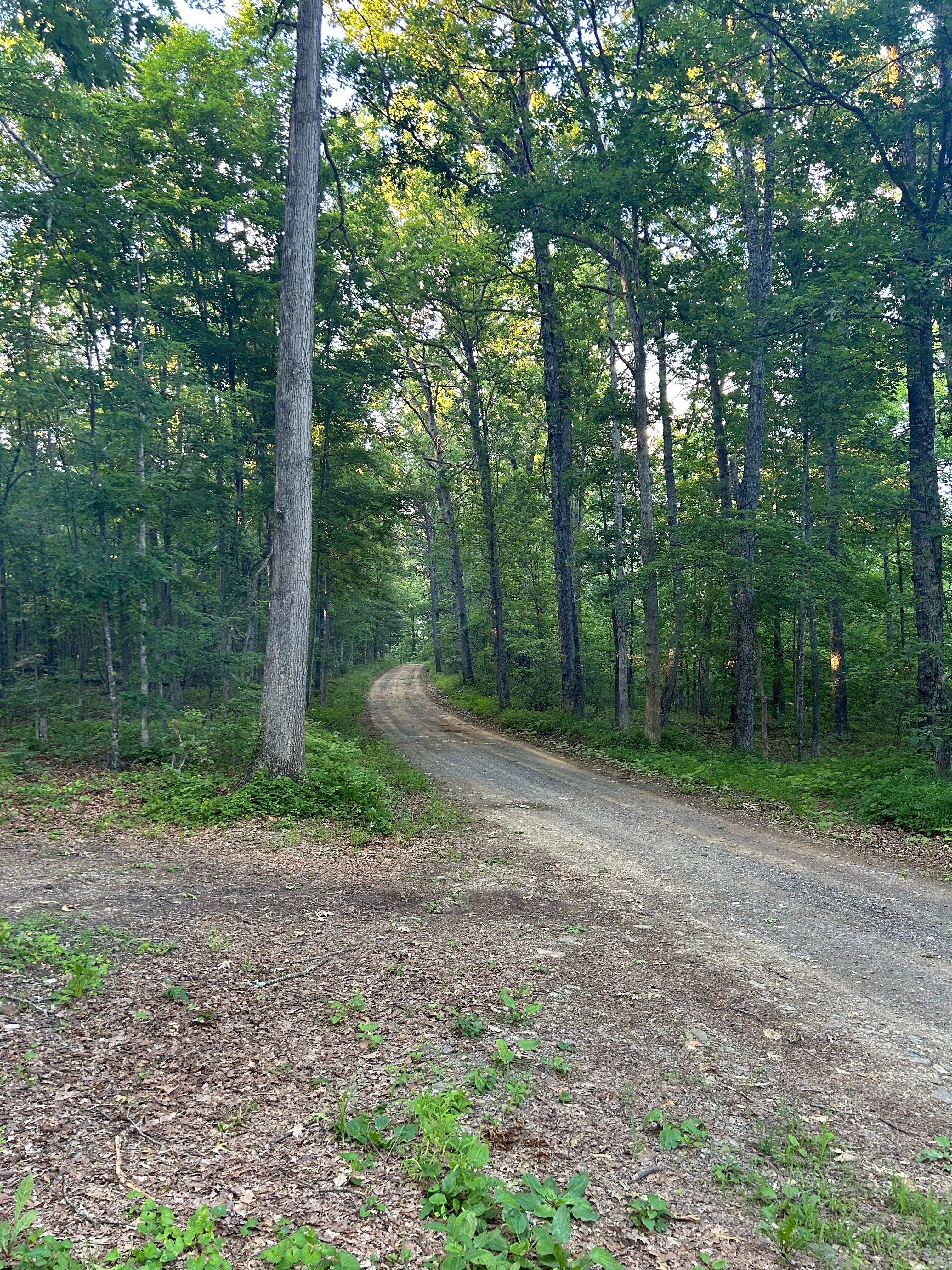Camper-submitted photo at green ridge state forest near Frostburg, MD