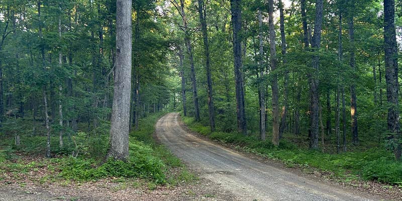 Camper submitted image from green ridge state forest
