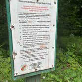 Review photo of green ridge state forest by Lauren S., June 21, 2026