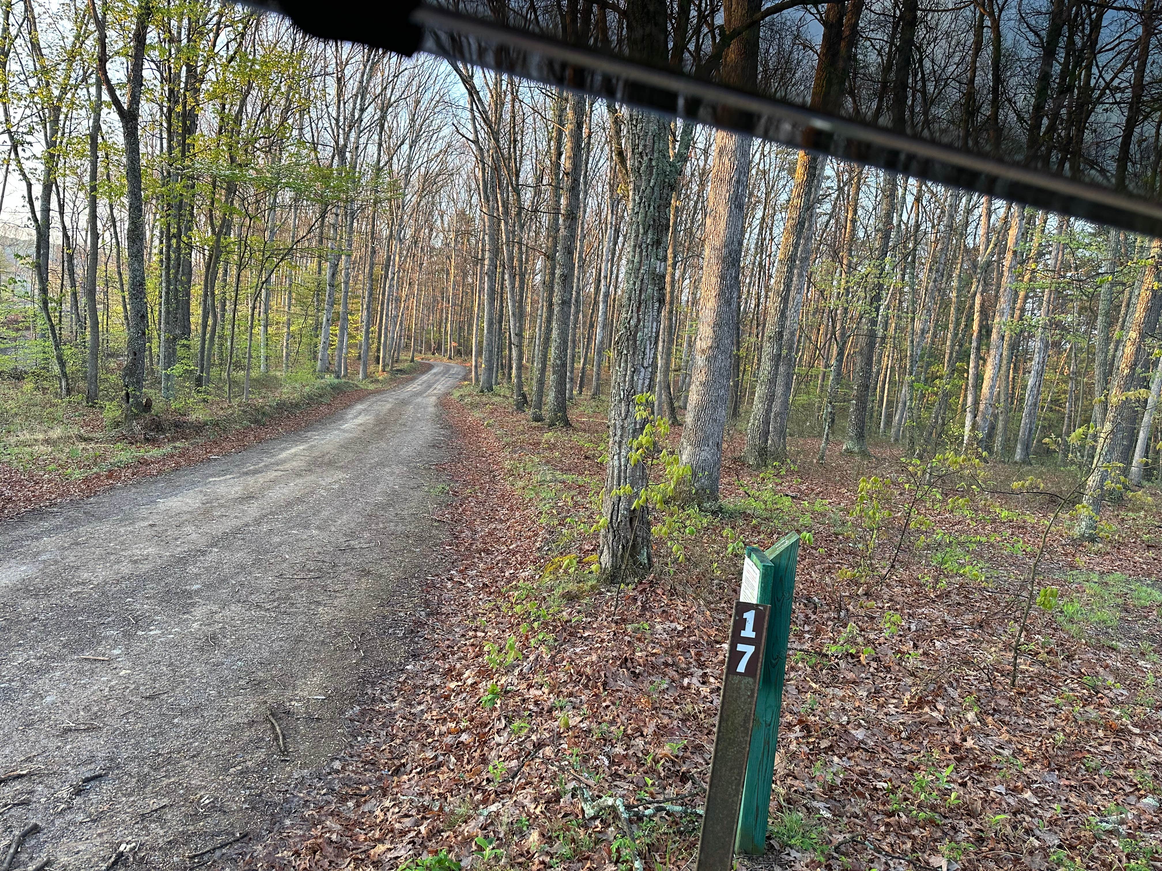 Camper-submitted photo at green ridge state forest near Artemas, PA