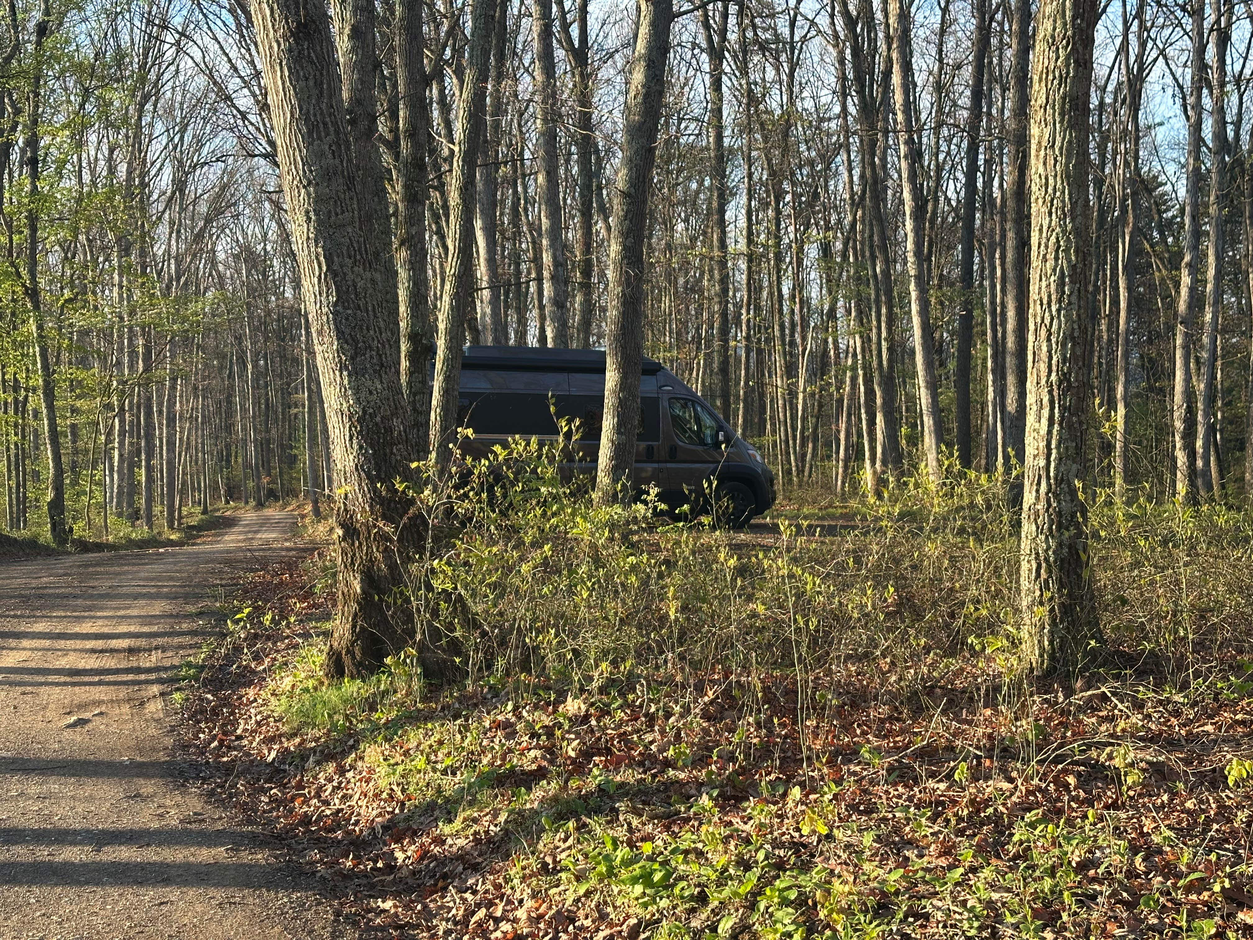 Camper-submitted photo at green ridge state forest near Artemas, PA