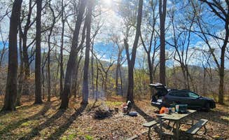 John C.'s photo of camping with pets at Green Ridge State Forest near Cumberland, MD