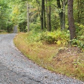 Review photo of Green Ridge State Forest by René M., October 4, 2023