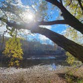 Review photo of Green Ridge State Forest by John C., November 14, 2023