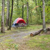 Review photo of Green Ridge State Forest by René M., October 4, 2023