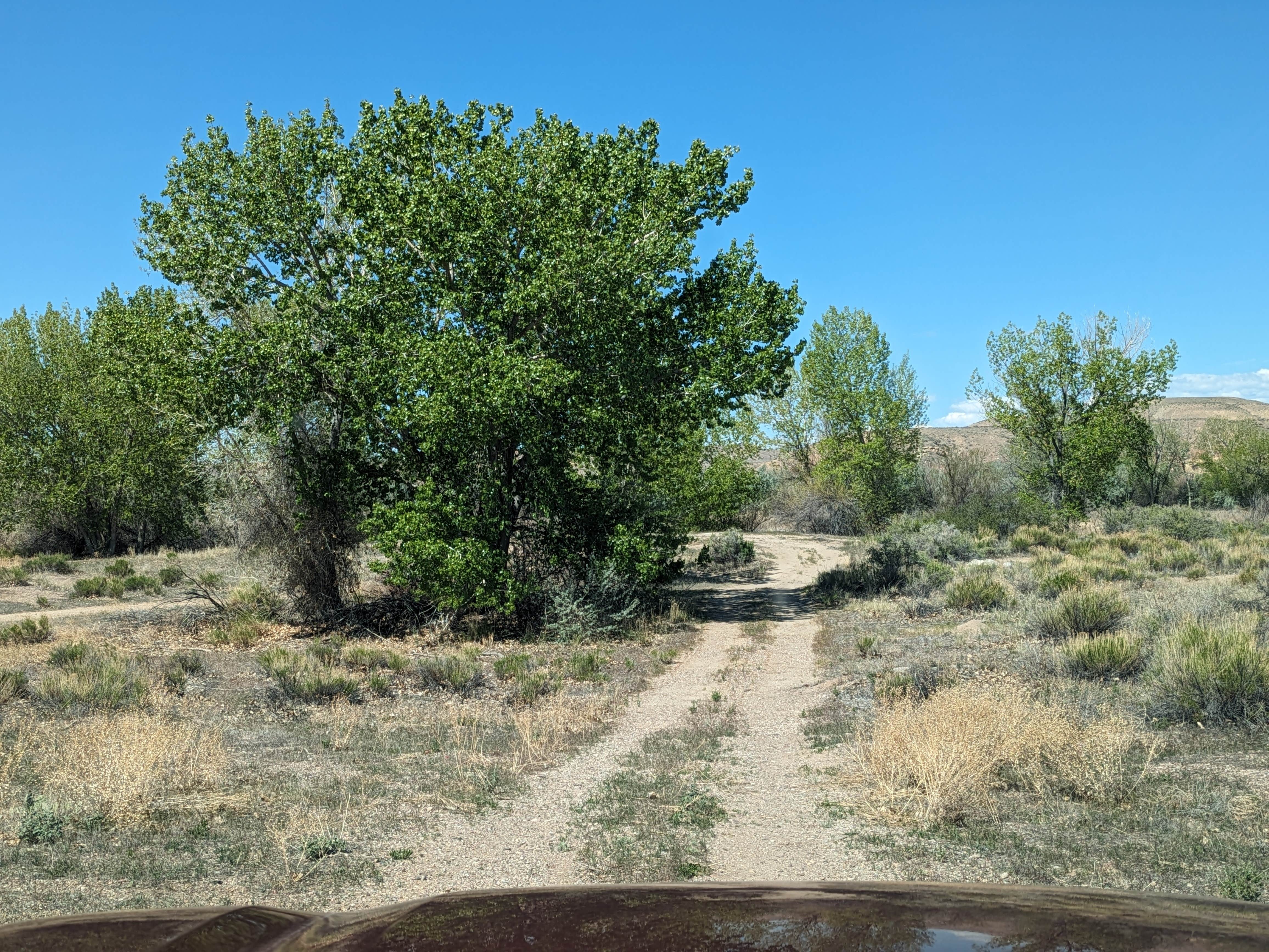 Camper-submitted photo at Green River Bridge near Roosevelt, UT
