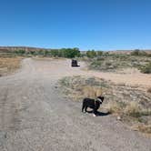 Review photo of Green River Bridge by Greg L., May 12, 2024