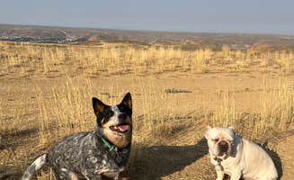 Rachel J.'s photo of camping with pets at Green River Flaming Gorge Dispersed Site near Superior, WY