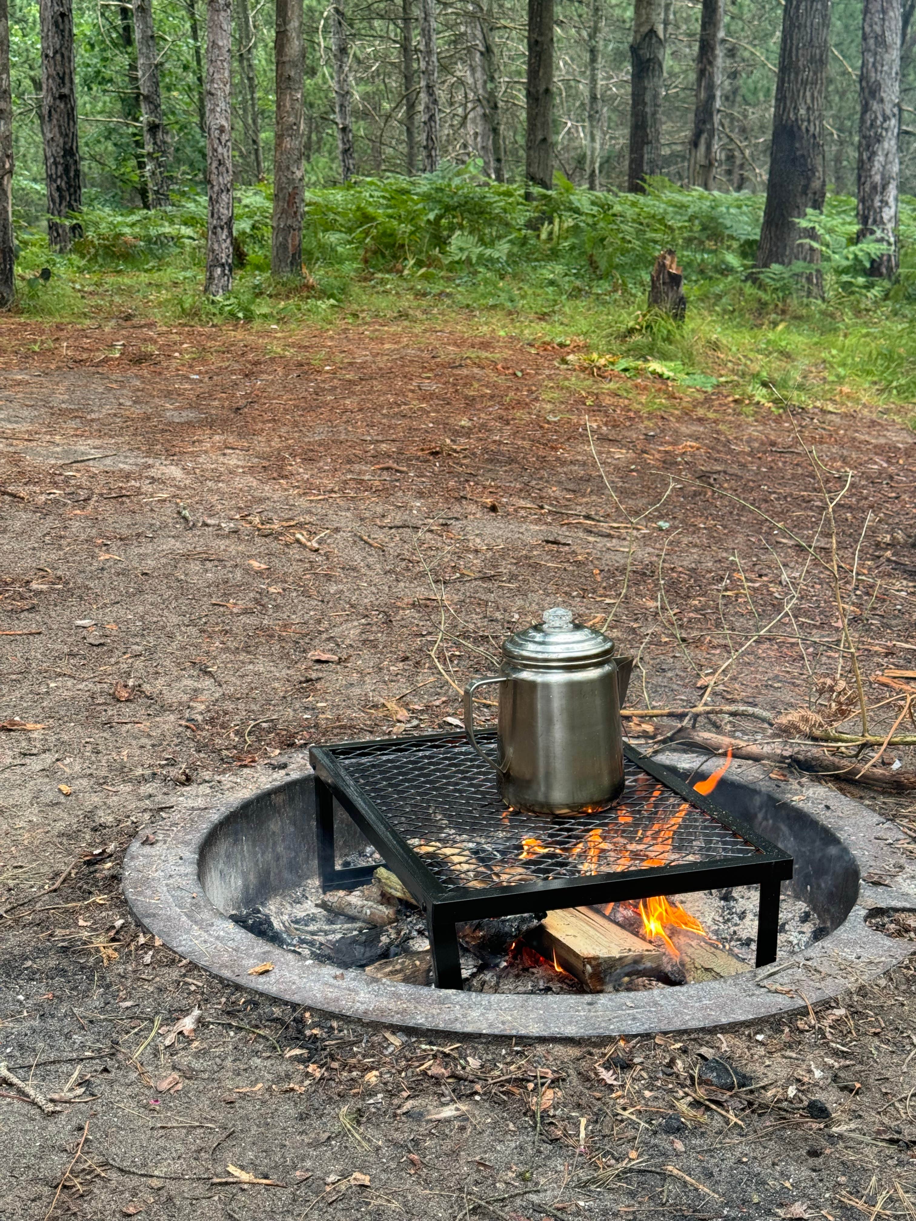 Camping near Cedar Campground — Ludington State Park: Green Road Site, Ludington, Michigan