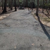 Review photo of Greenbelt Park Campground — Greenbelt Park by Mallory H., April 2, 2024