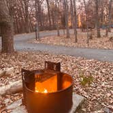 Review photo of Greenbelt Park Campground — Greenbelt Park by amanda A., November 17, 2025