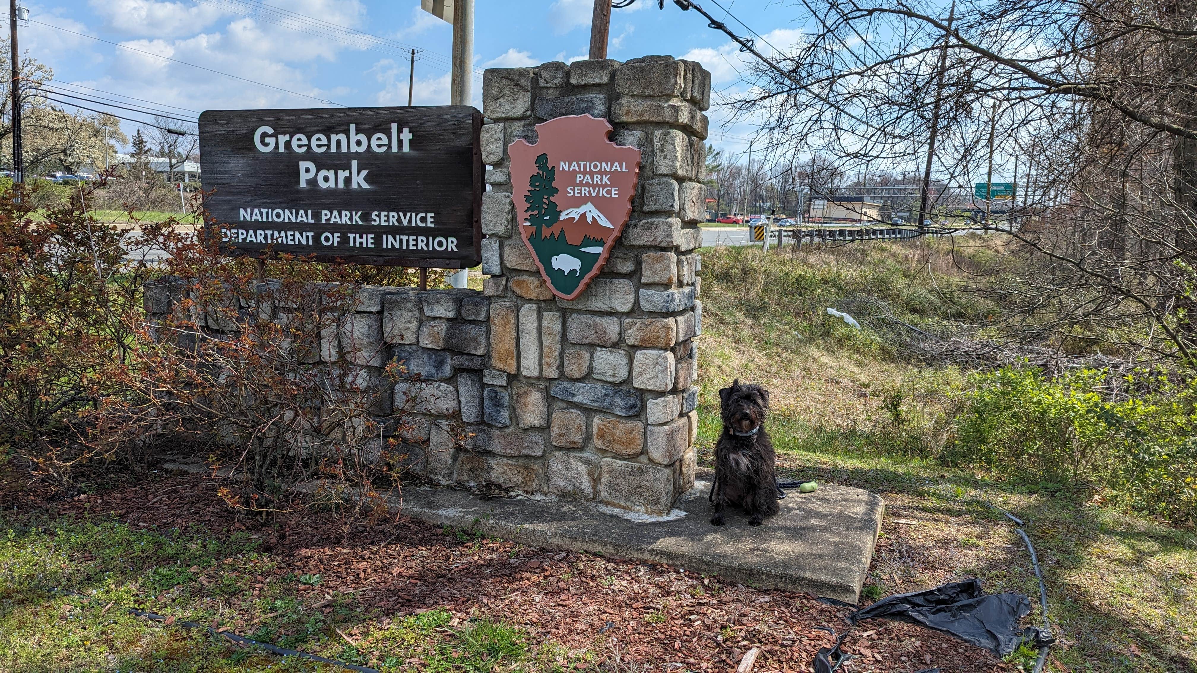 Mallory H.'s photo of camping with pets at Greenbelt Park Campground — Greenbelt Park near Baltimore, MD